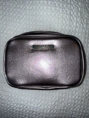 Rodan & Fields Metallic Gray Bag with Subtle Sheen